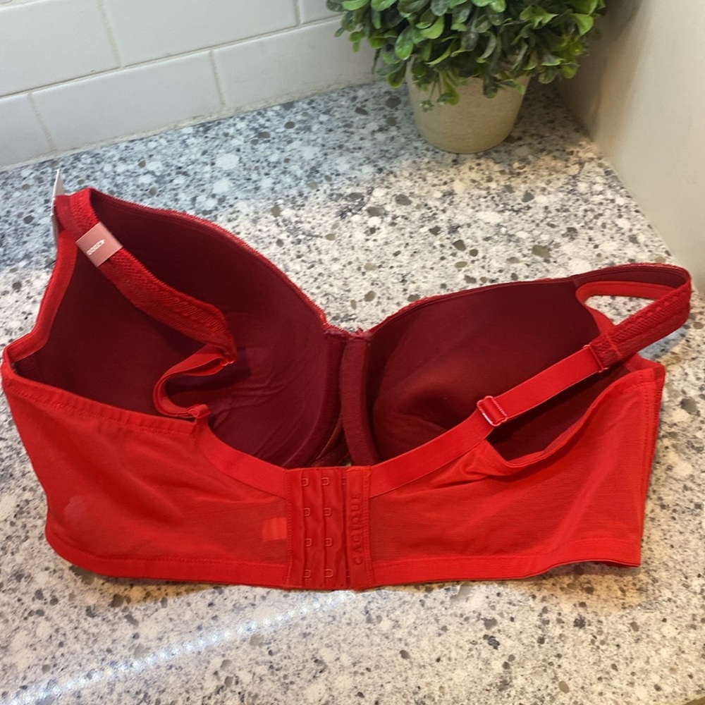 Cacique Red Lace Bra - Picture 4 of 5